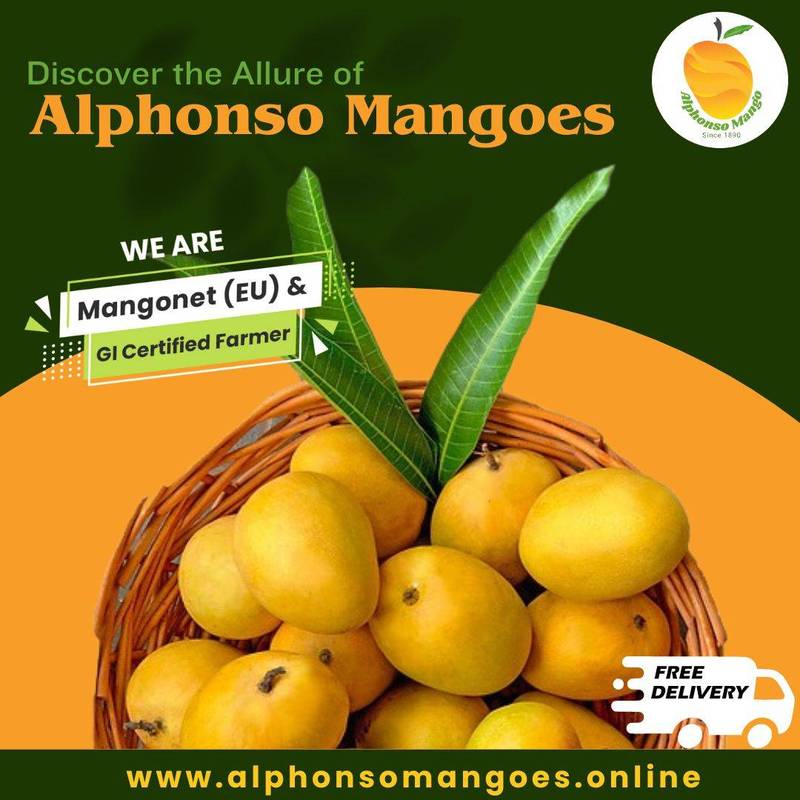 Order Devgad Mangoes Online